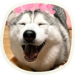 Милые собачки Telegram sticker pack