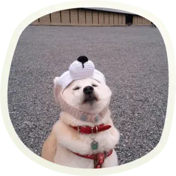 Милые собачки sticker 12
