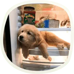 Милые собачки sticker 3