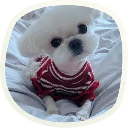 Милые собачки sticker 4