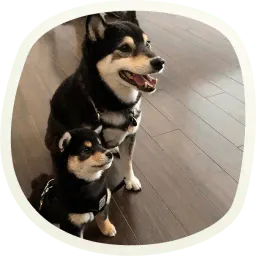 Милые собачки sticker 7