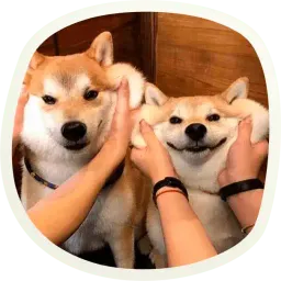 Милые собачки sticker 8