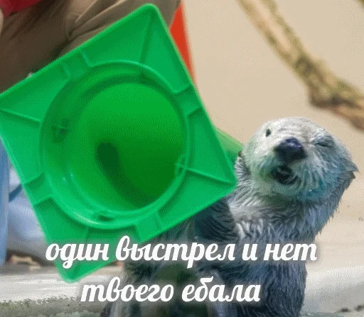 VidroMemi_Part2 sticker 10