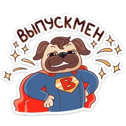 Выпускной 2019 sticker 12