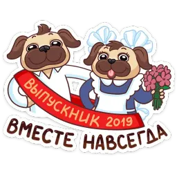 Выпускной 2019 sticker 4