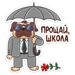 Выпускной 2019 sticker 5