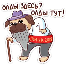 Выпускной 2019 sticker 6