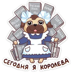Выпускной 2019 sticker 8