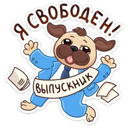 Выпускной 2018 sticker 11