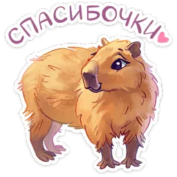 Карбонара ВКонтакте, Вика Смирнова sticker 2