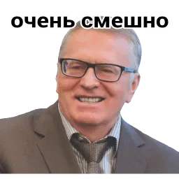 Владимир Вольфович Ж sticker 2