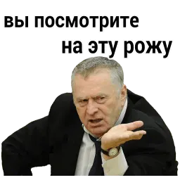 Владимир Вольфович Ж sticker 11
