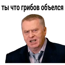 Владимир Вольфович Ж sticker 12