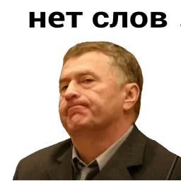 Владимир Вольфович Ж sticker 3