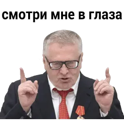 Владимир Вольфович Ж sticker 5