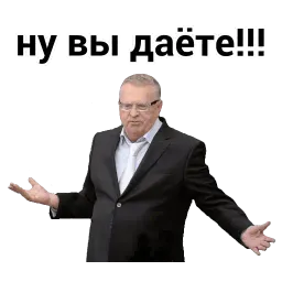 Владимир Вольфович Ж sticker 10
