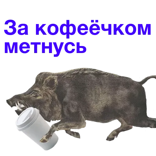 Чашки sticker 31