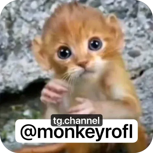 Чашки sticker 42
