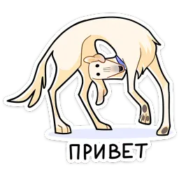 Белый Telegram sticker pack