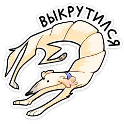 Белый sticker 5