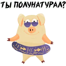 Зимний хрюня Telegram sticker pack
