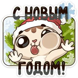 Зимний Котик Telegram sticker pack