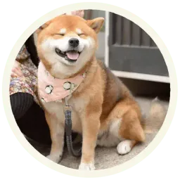 Акита-Ину sticker 12