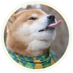 Акита-Ину sticker 7
