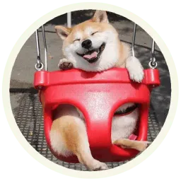 Акита-Ину sticker 10