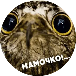 Упоротые птички sticker 11