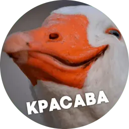 Упоротые птички sticker 3