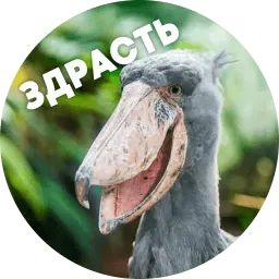 Упоротые птички sticker 6