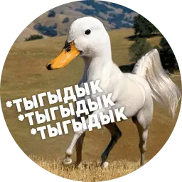 Упоротые птички sticker 9