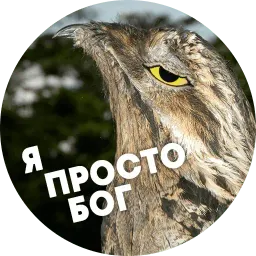 Упоротые птички sticker 10