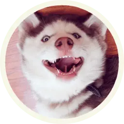 Хаски sticker 11