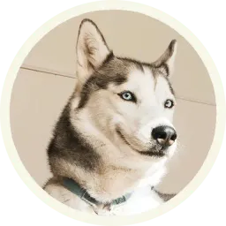 Хаски sticker 12