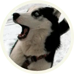Хаски sticker 4