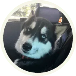 Хаски sticker 5