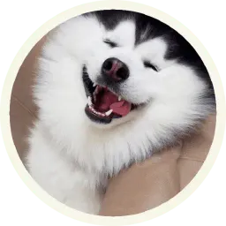 Хаски sticker 6