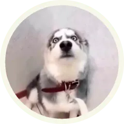 Хаски sticker 8