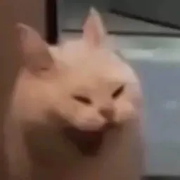 Смешные морды котов sticker 8