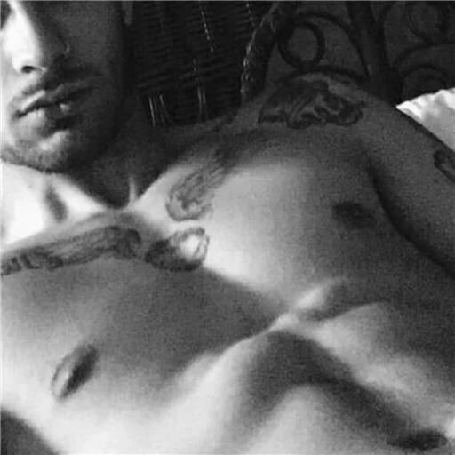 Romich's zayn sticker 5