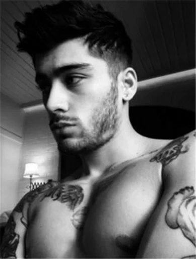 Romich's zayn sticker 6