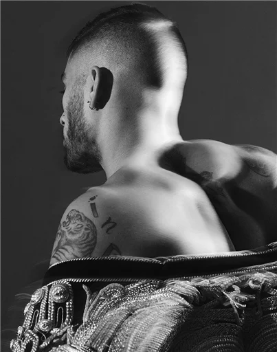 Romich's zayn sticker 7