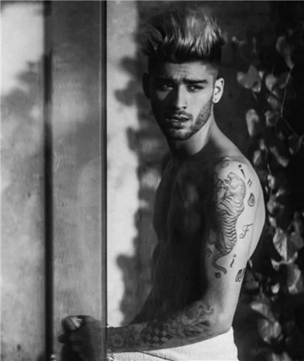 Romich's zayn sticker 8