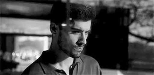 Romich's zayn sticker 9