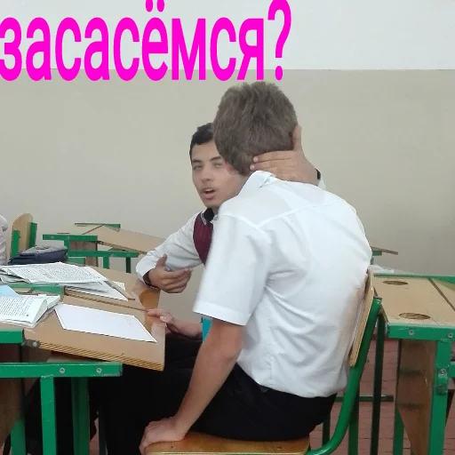 Мордажки sticker 12