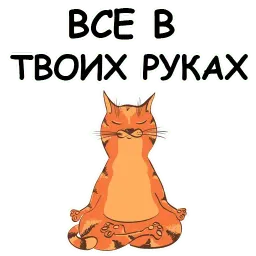 Йога с котом и лисичкой Telegram sticker pack