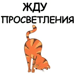 Йога с котом и лисичкой sticker 2