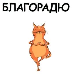 Йога с котом и лисичкой sticker 4